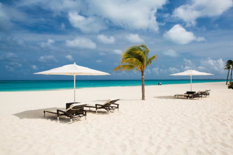 Beach loungers